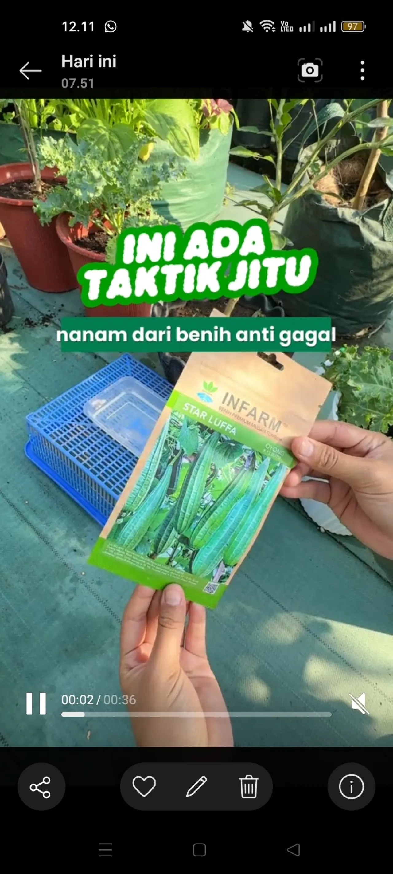 Taktik Jitu Nanam dari Benih Anti Gagal! Pemula Wajib Tahu Trik Ini — Tekno